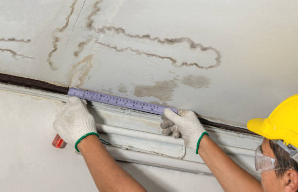 Reliable Emergency Water Damage Restoration contractor in Cloverdale, OH by Water Damage Irwin